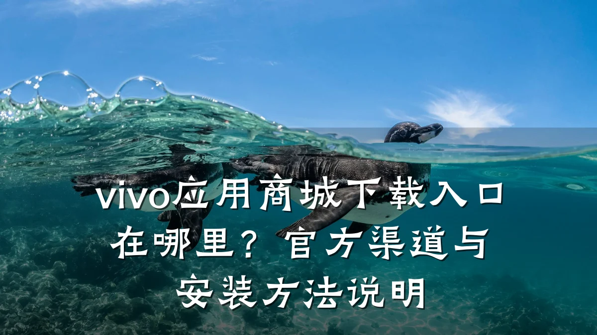 vivo应用商城下载入口在哪里?官方渠道与安装方法说明