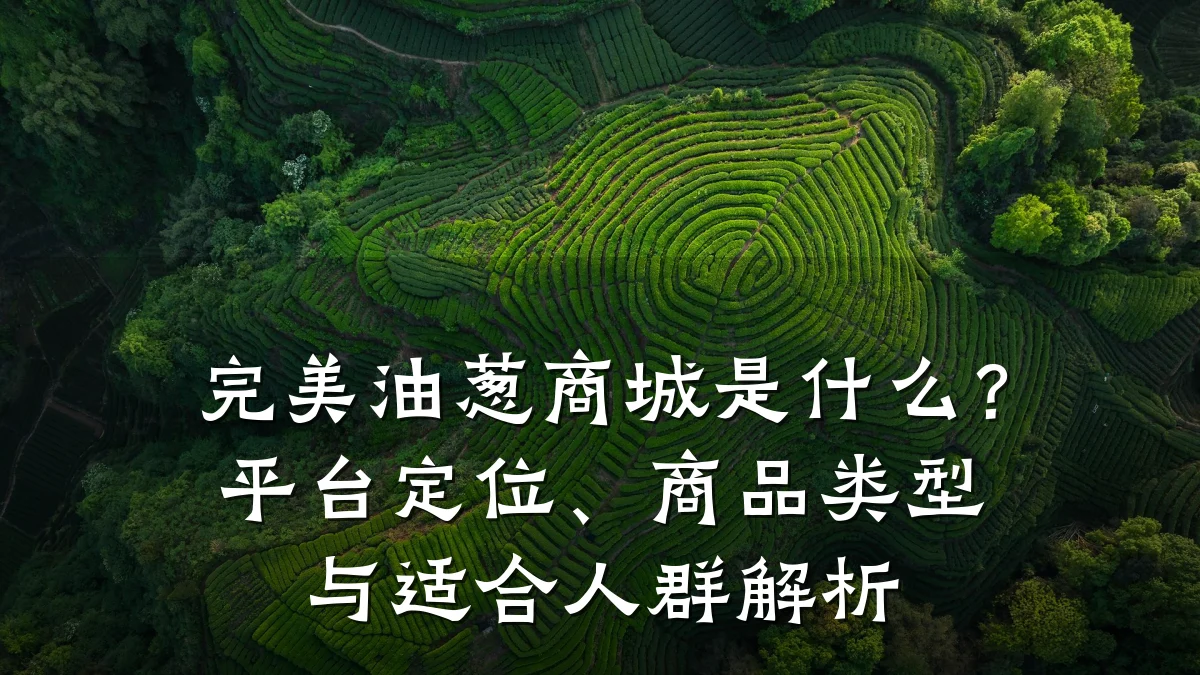 完美油葱商城是什么?平台定位、商品类型与适合人群解析