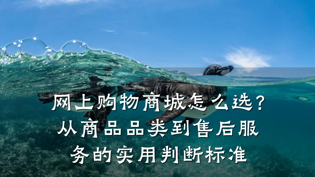 网上购物商城怎么选?从商品品类到售后服务的实用判断标准