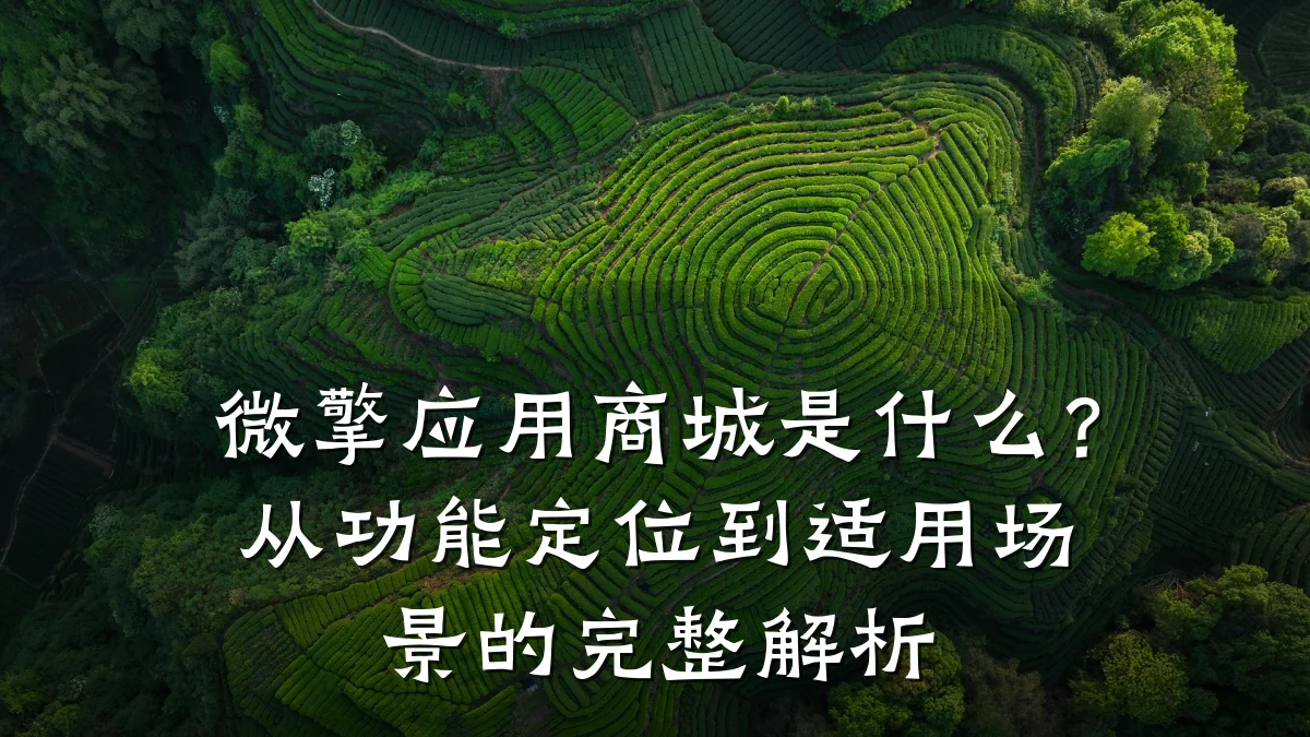 微擎应用商城是什么?从功能定位到适用场景的完整解析