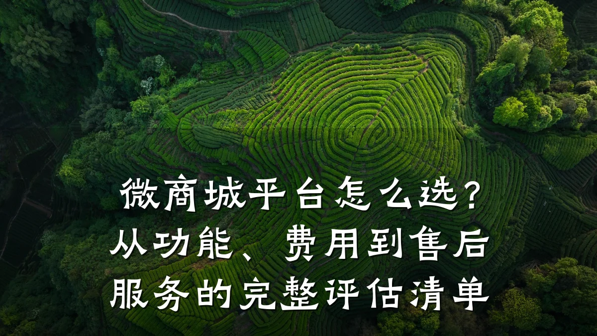 微商城平台怎么选?从功能、费用到售后服务的完整评估清单