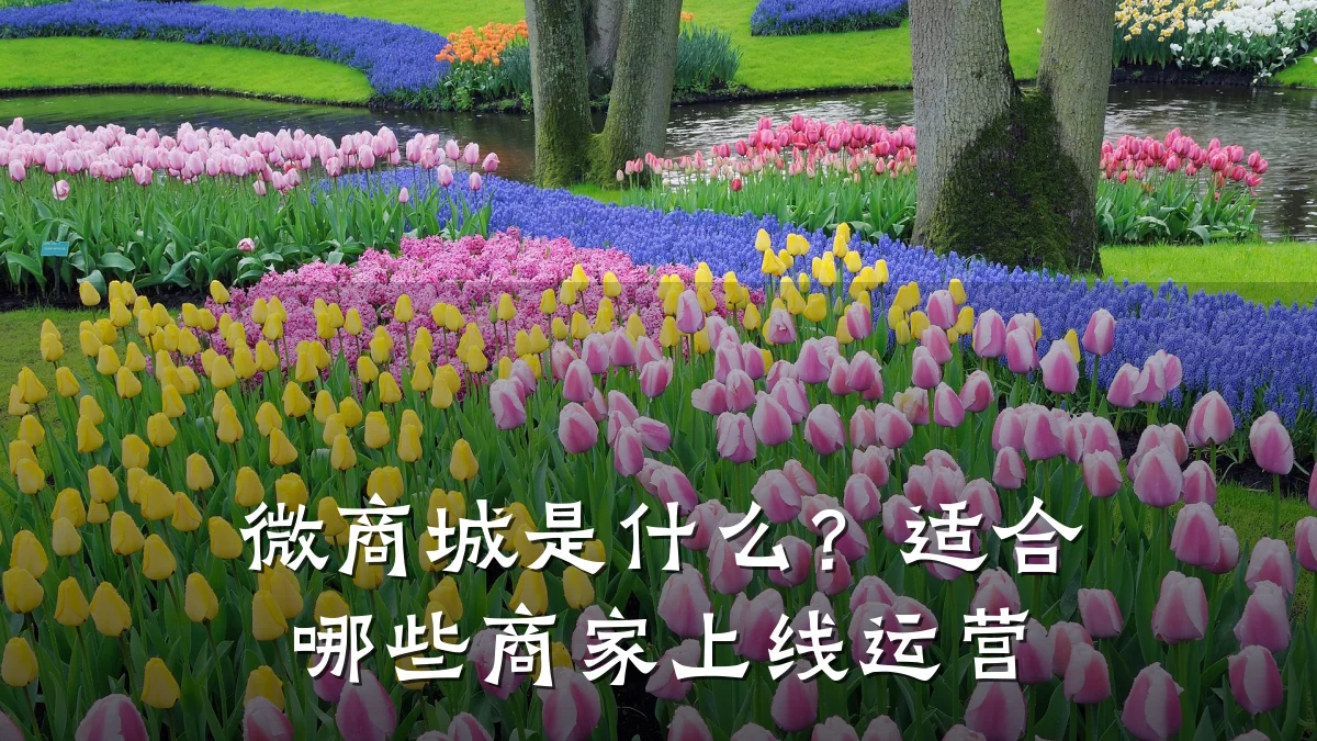 微商城是什么?适合哪些商家上线运营
