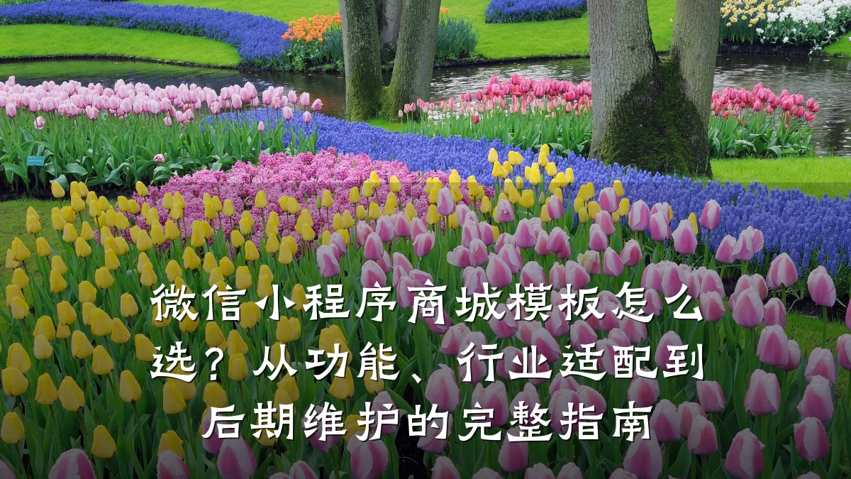 微信小程序商城模板怎么选?从功能、行业适配到后期维护的完整指南