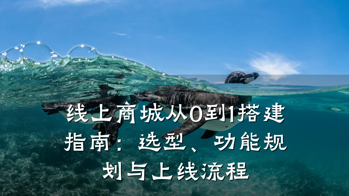 线上商城从0到1搭建指南:选型、功能规划与上线流程
