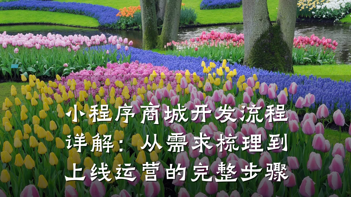 小程序商城开发流程详解:从需求梳理到上线运营的完整步骤