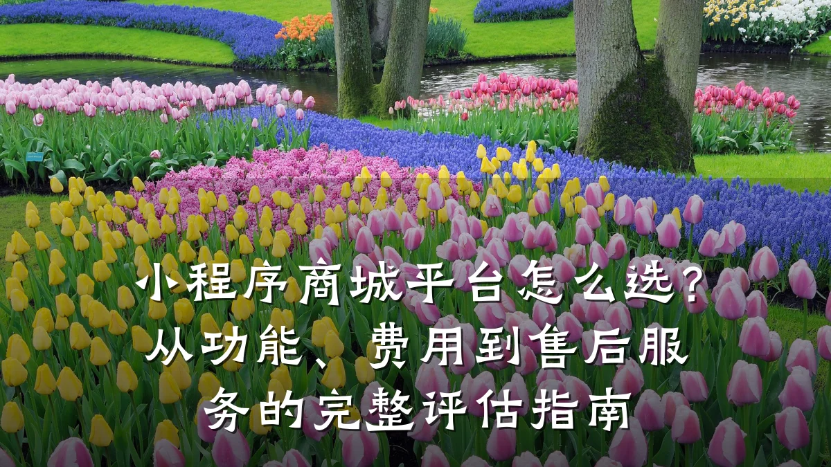 小程序商城平台怎么选?从功能、费用到售后服务的完整评估指南