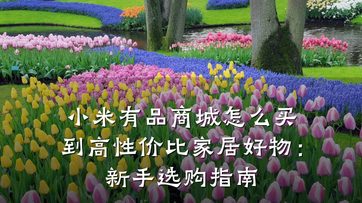 小米有品商城怎么买到高性价比家居好物：新手选购指南