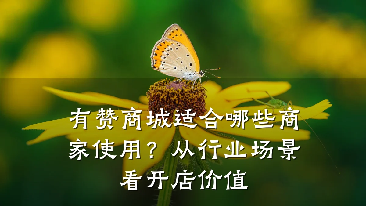 有赞商城适合哪些商家使用?从行业场景看开店价值