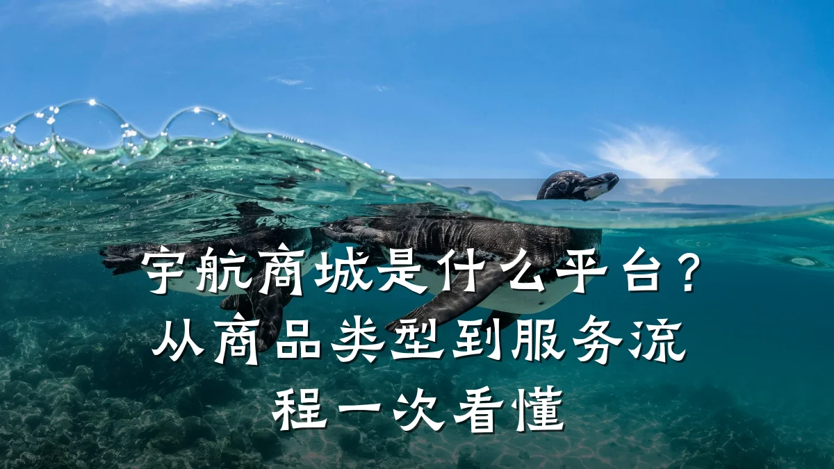 宇航商城是什么平台?从商品类型到服务流程一次看懂