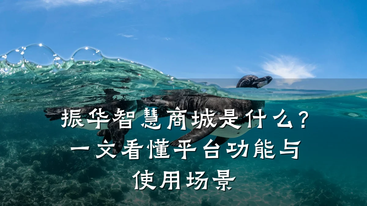 振华智慧商城是什么?一文看懂平台功能与使用场景