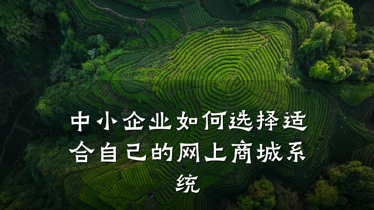 中小企业如何选择适合自己的网上商城系统