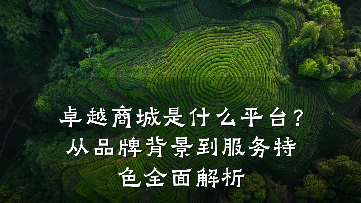 卓越商城是什么平台?从品牌背景到服务特色全面解析