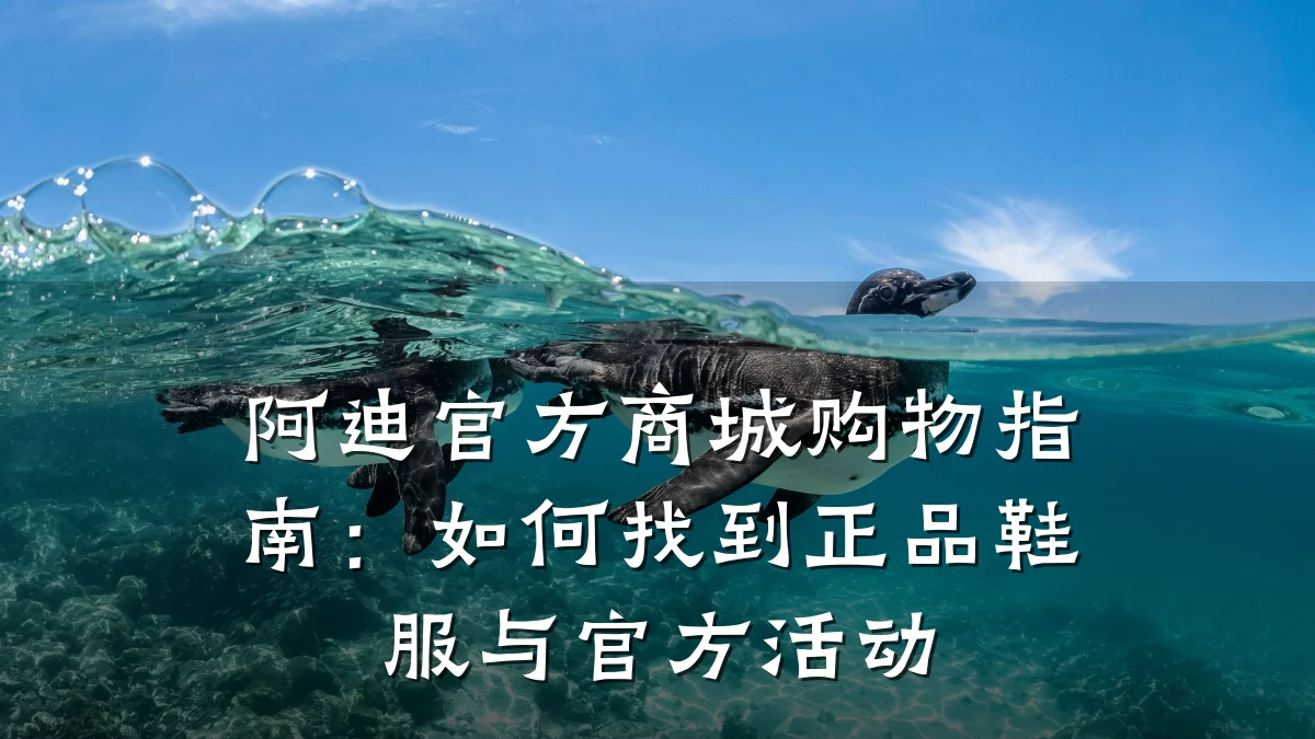 阿迪官方商城购物指南：如何找到正品鞋服与官方活动