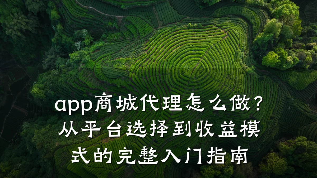 app商城代理怎么做?从平台选择到收益模式的完整入门指南