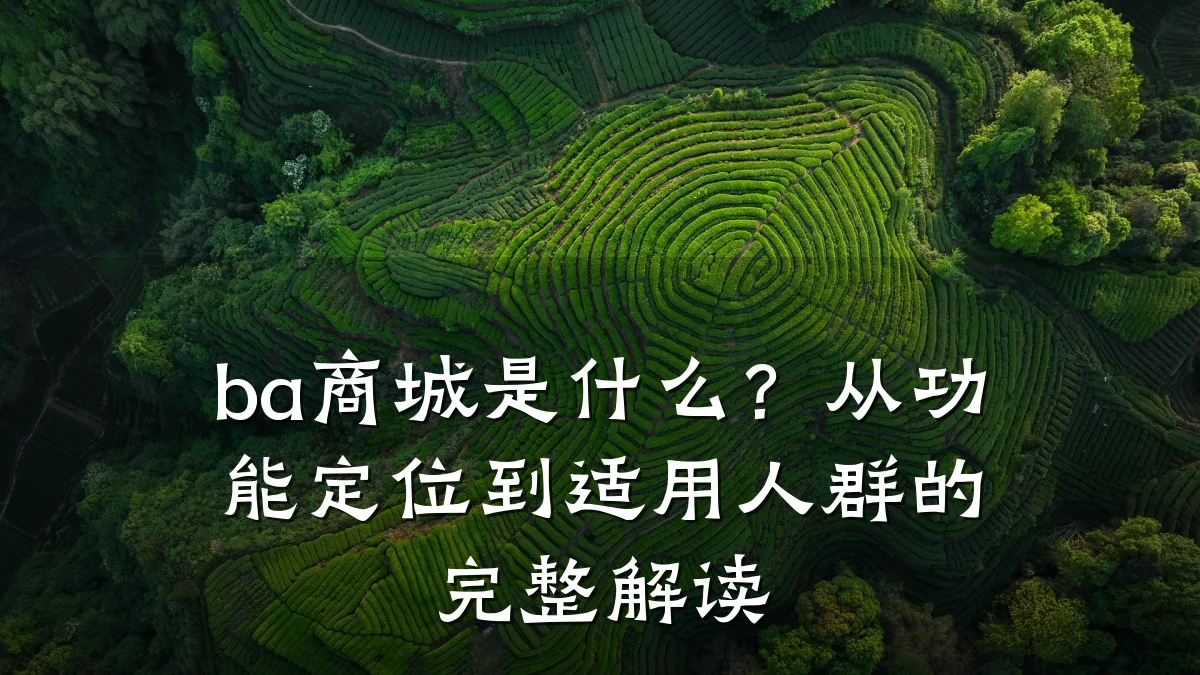 ba商城是什么?从功能定位到适用人群的完整解读