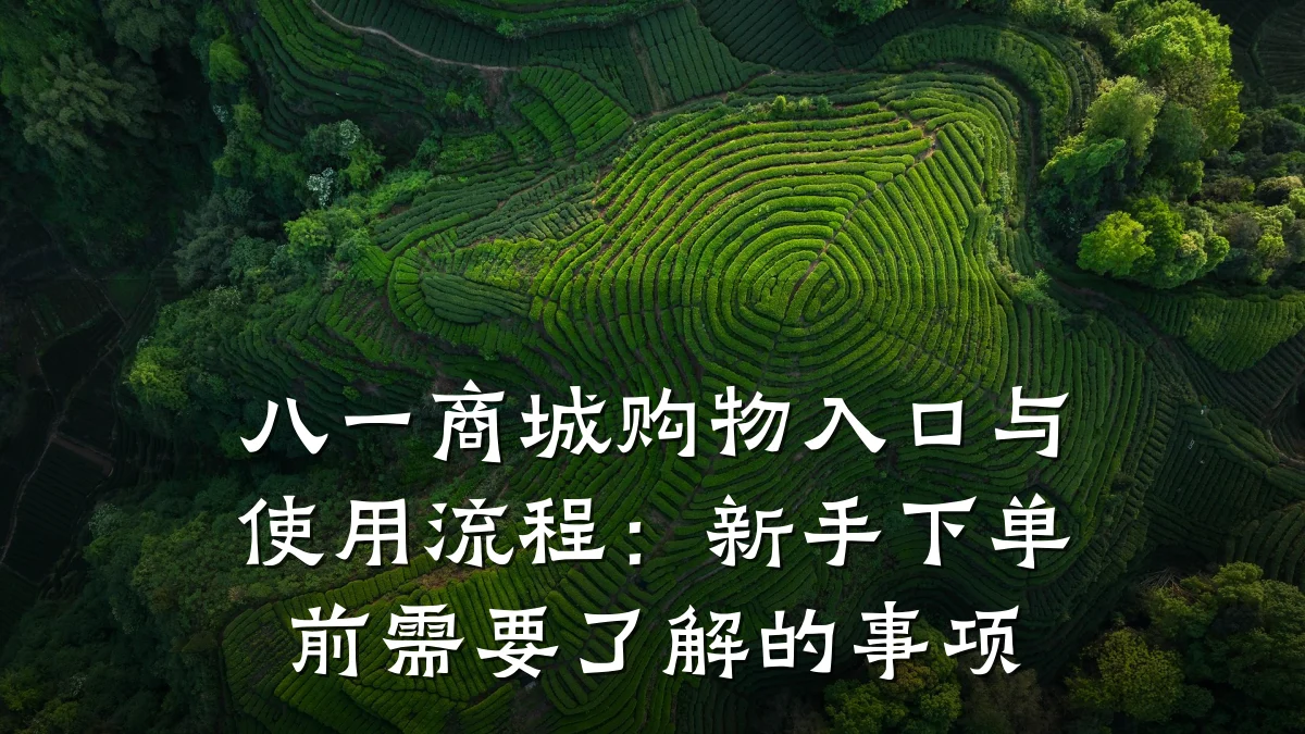 八一商城购物入口与使用流程:新手下单前需要了解的事项