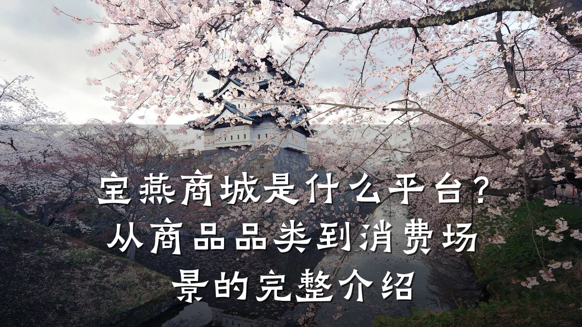 宝燕商城是什么平台?从商品品类到消费场景的完整介绍