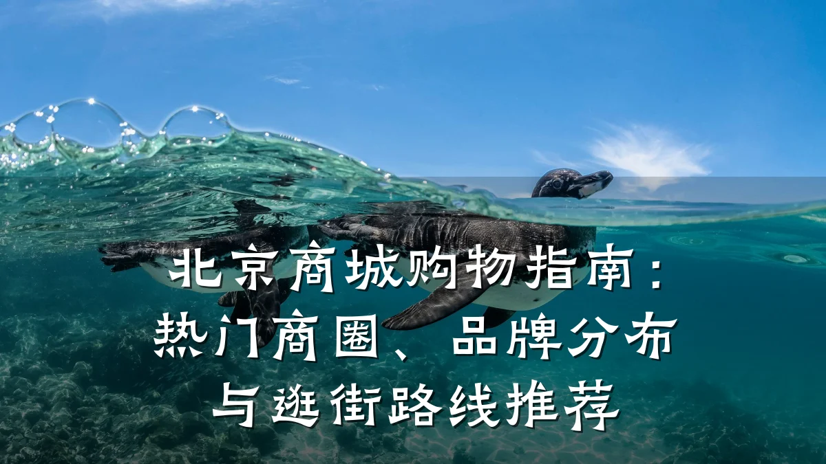 北京商城购物指南:热门商圈、品牌分布与逛街路线推荐