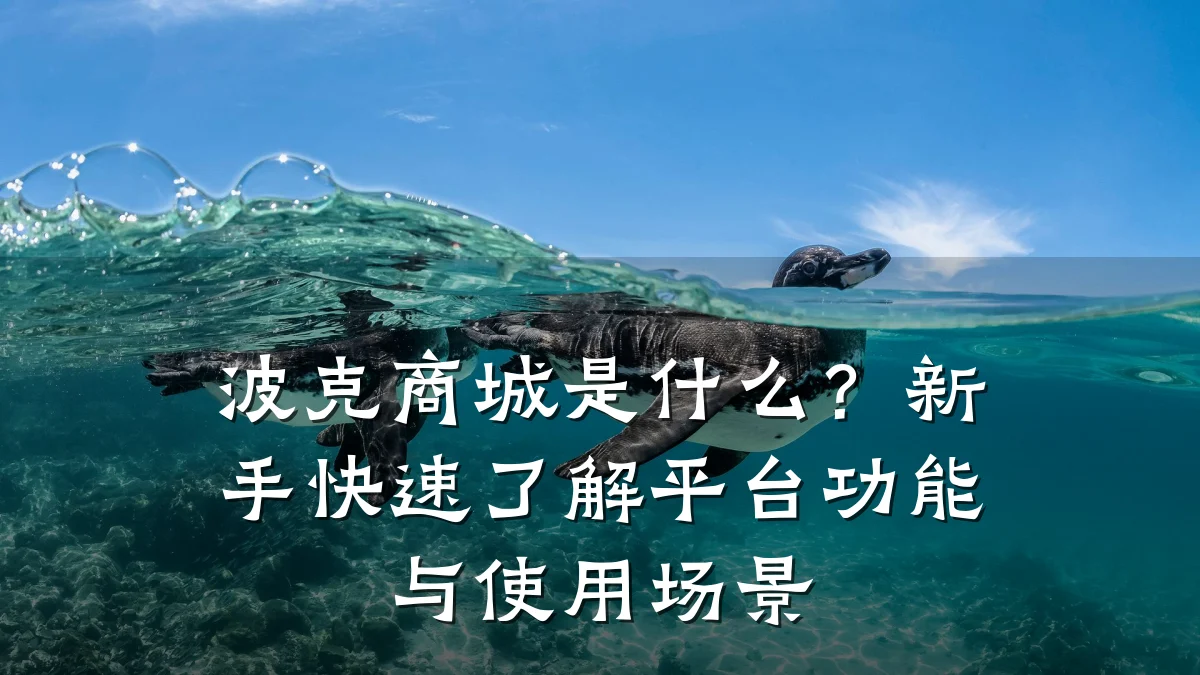 波克商城是什么?新手快速了解平台功能与使用场景