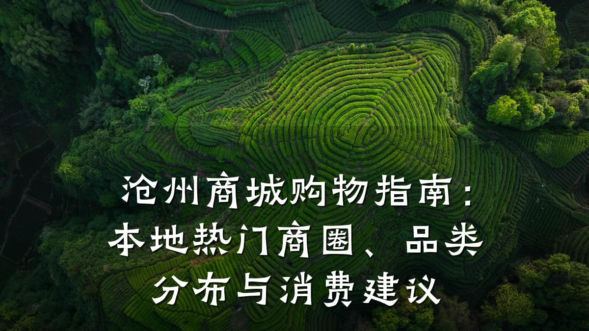 沧州商城购物指南：本地热门商圈、品类分布与消费建议