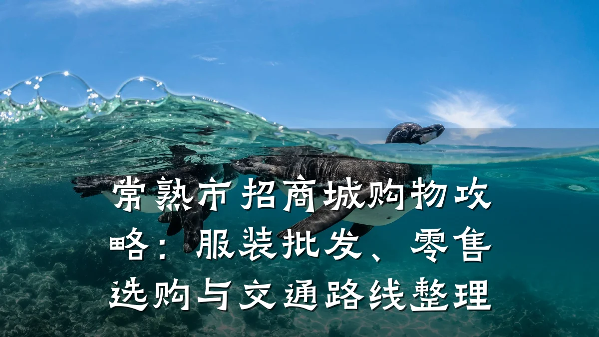 常熟市招商城购物攻略:服装批发、零售选购与交通路线整理