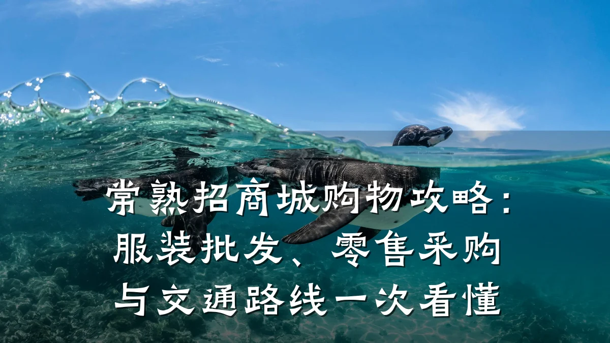 常熟招商城购物攻略:服装批发、零售采购与交通路线一次看懂
