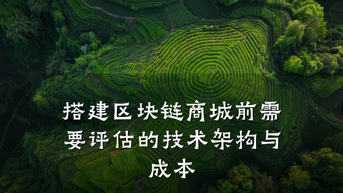 搭建区块链商城前需要评估的技术架构与成本