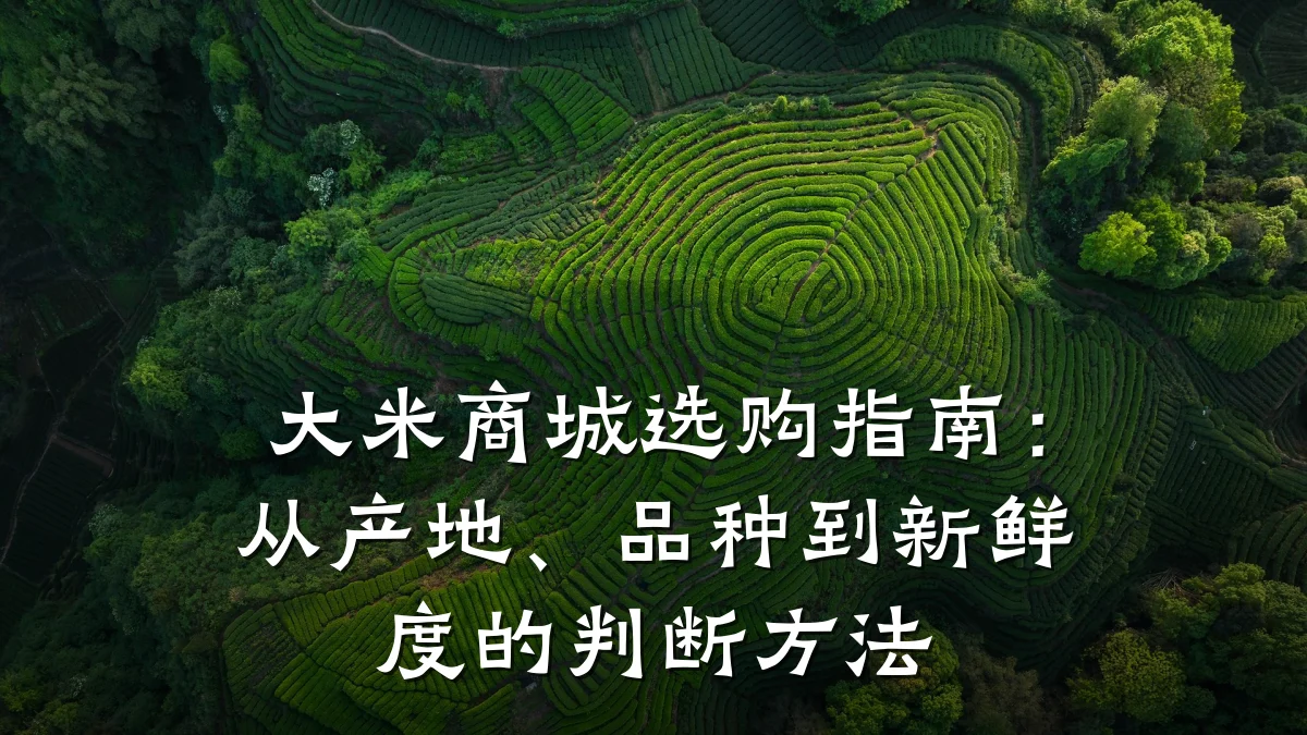 大米商城选购指南:从产地、品种到新鲜度的判断方法