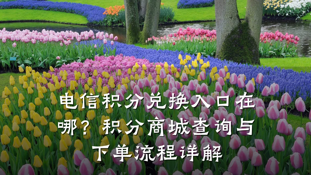 电信积分兑换入口在哪?积分商城查询与下单流程详解