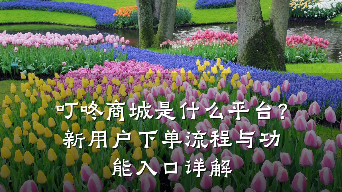 叮咚商城是什么平台?新用户下单流程与功能入口详解