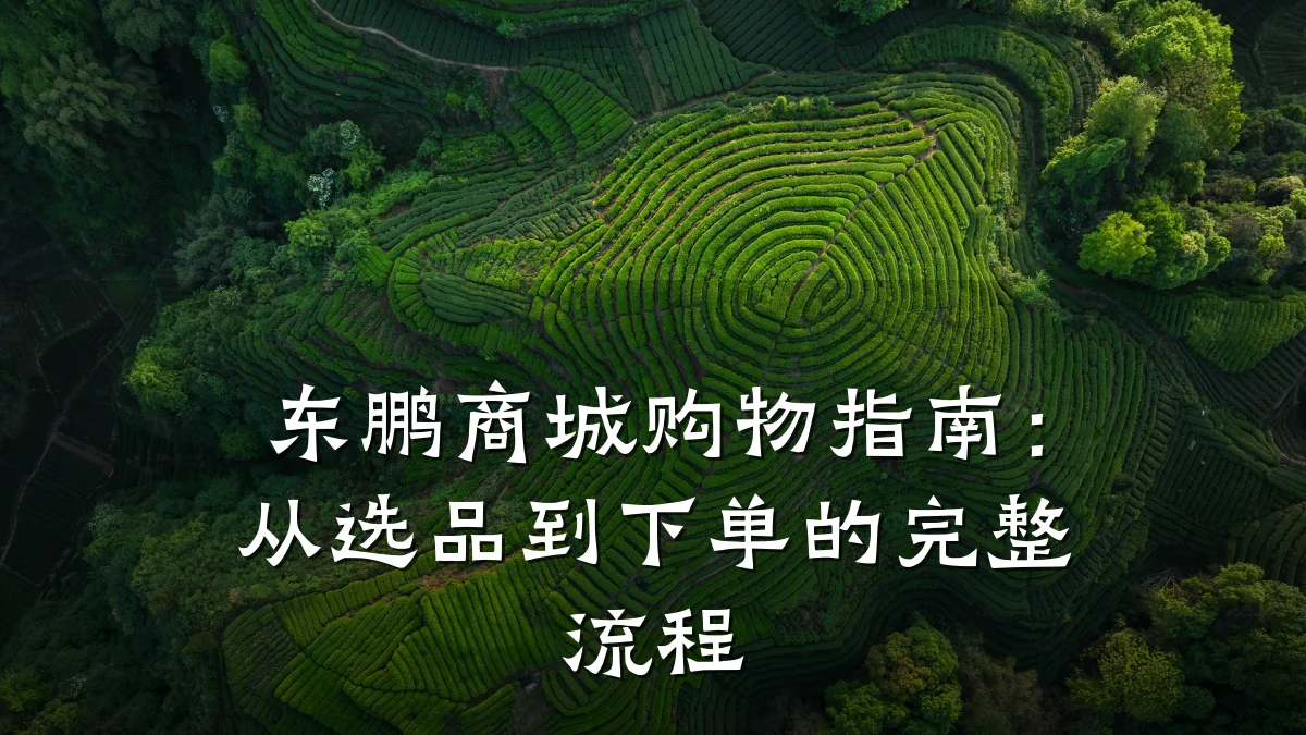 东鹏商城购物指南:从选品到下单的完整流程