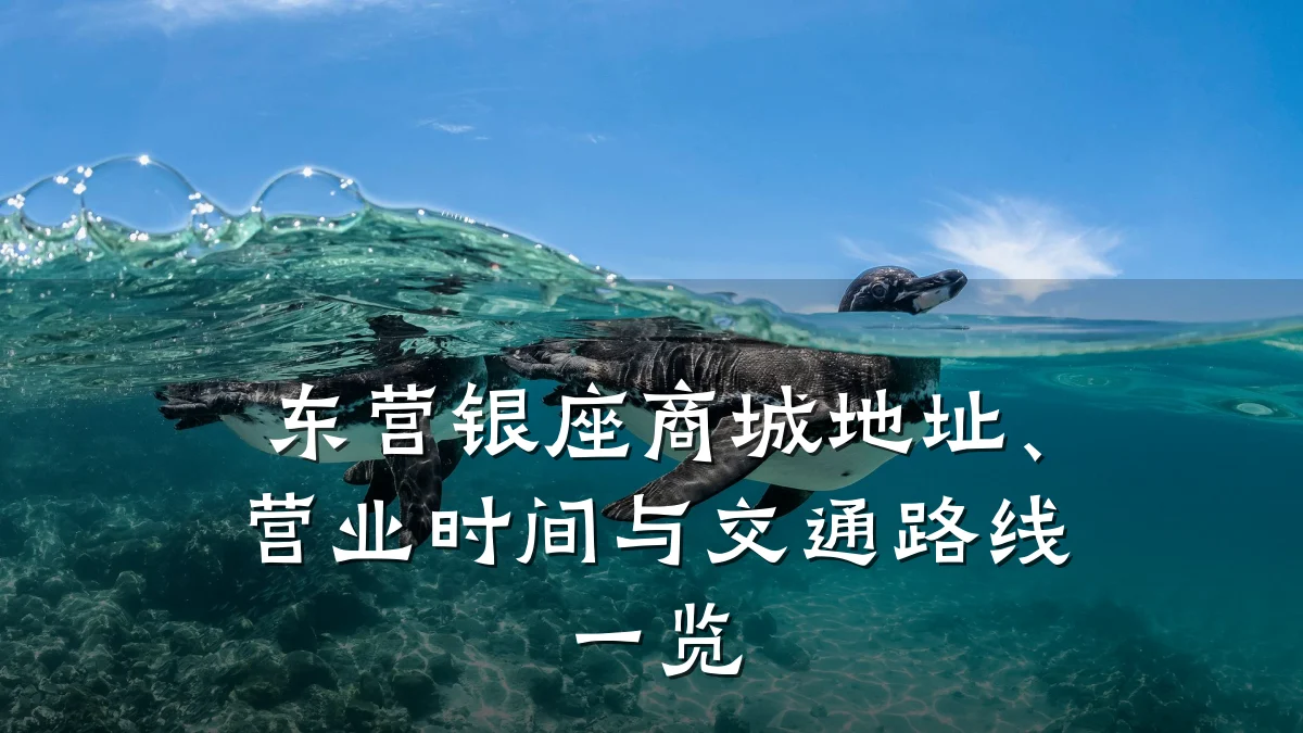 东营银座商城地址、营业时间与交通路线一览