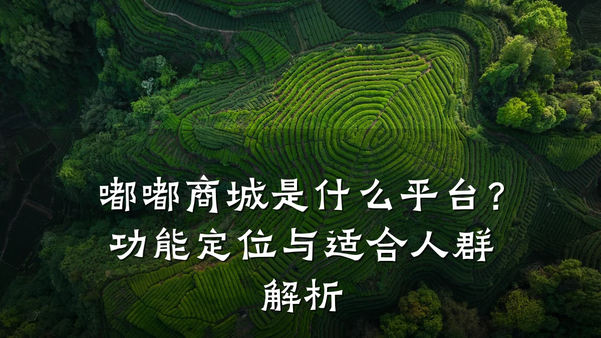 嘟嘟商城是什么平台?功能定位与适合人群解析