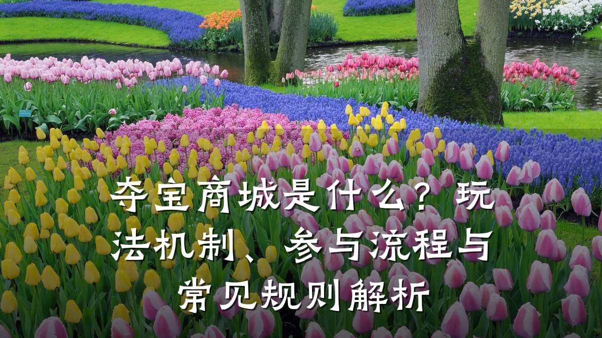 夺宝商城是什么?玩法机制、参与流程与常见规则解析