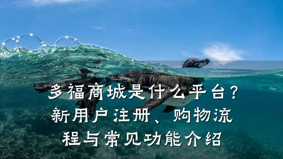 多福商城是什么平台?新用户注册、购物流程与常见功能介绍