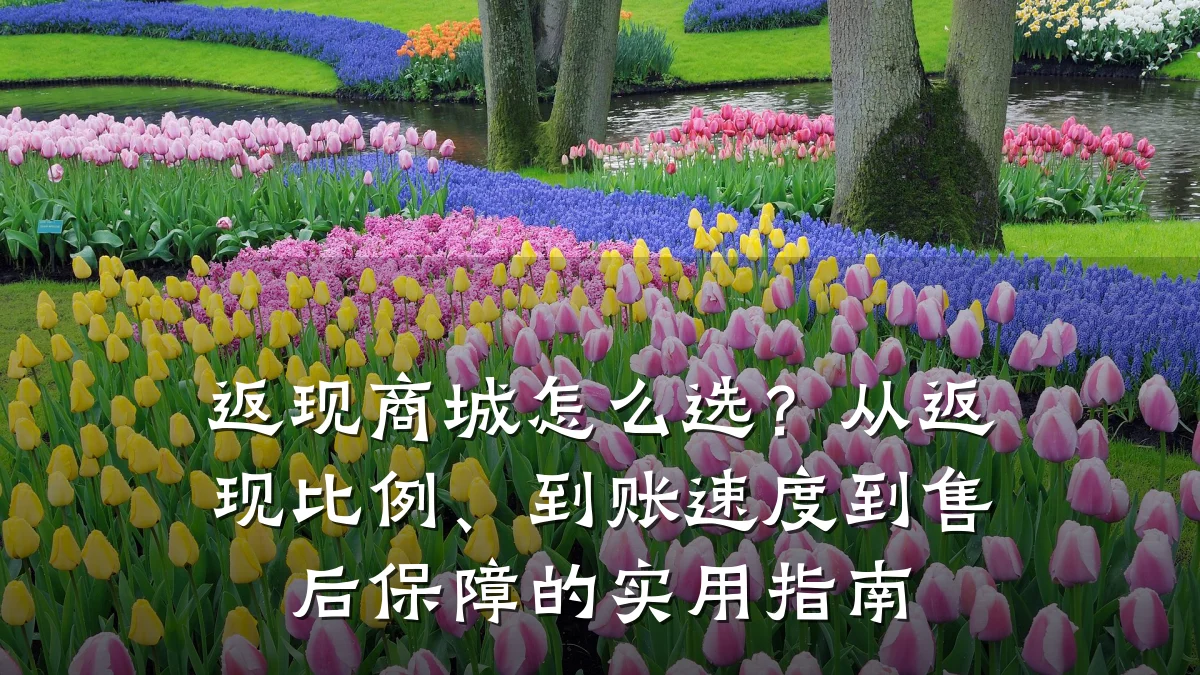 返现商城怎么选?从返现比例、到账速度到售后保障的实用指南
