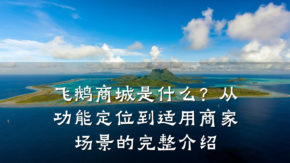 飞鹅商城是什么?从功能定位到适用商家场景的完整介绍