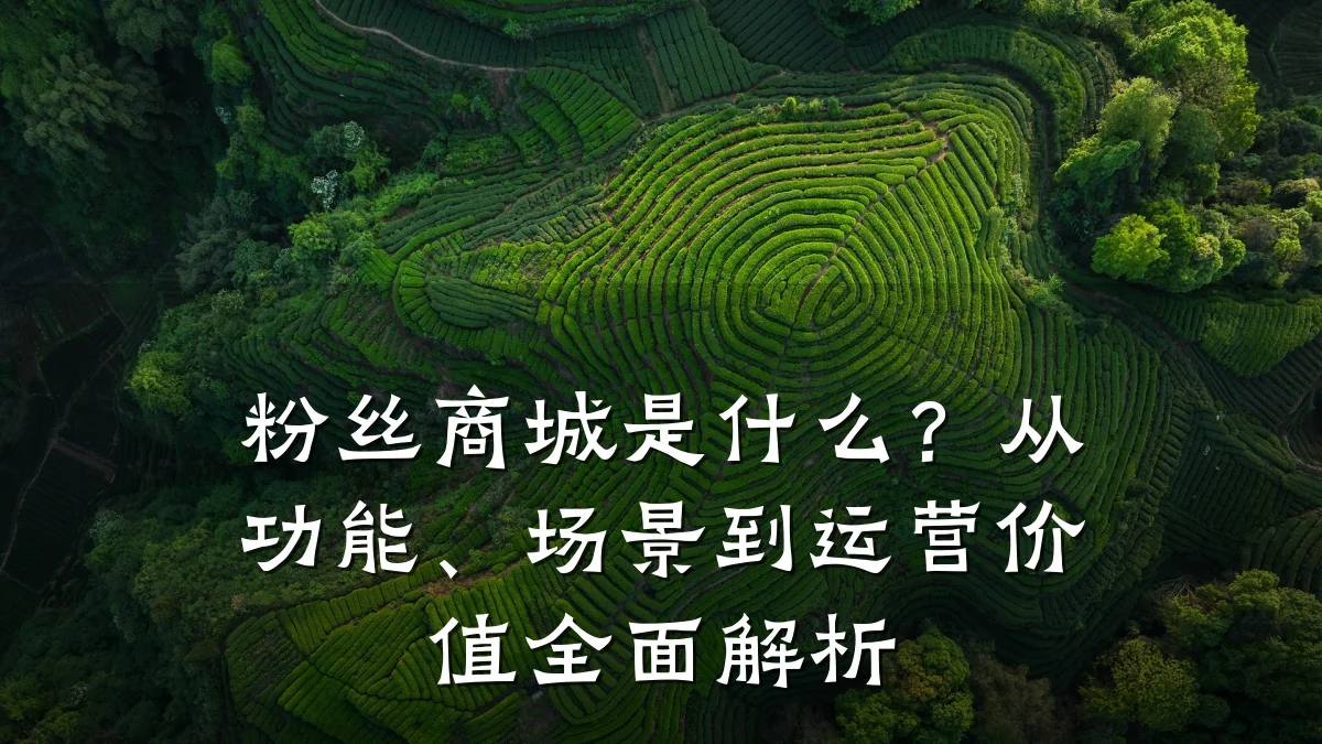 粉丝商城是什么?从功能、场景到运营价值全面解析