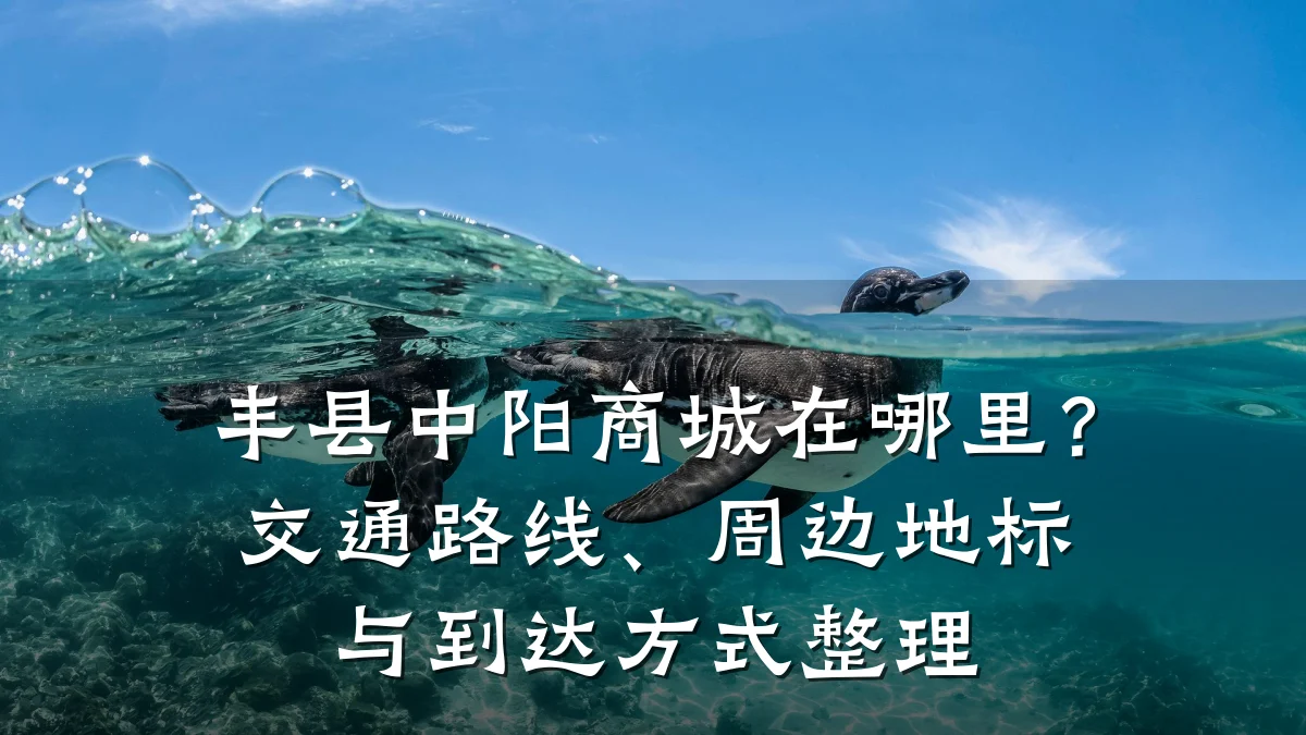 丰县中阳商城在哪里?交通路线、周边地标与到达方式整理