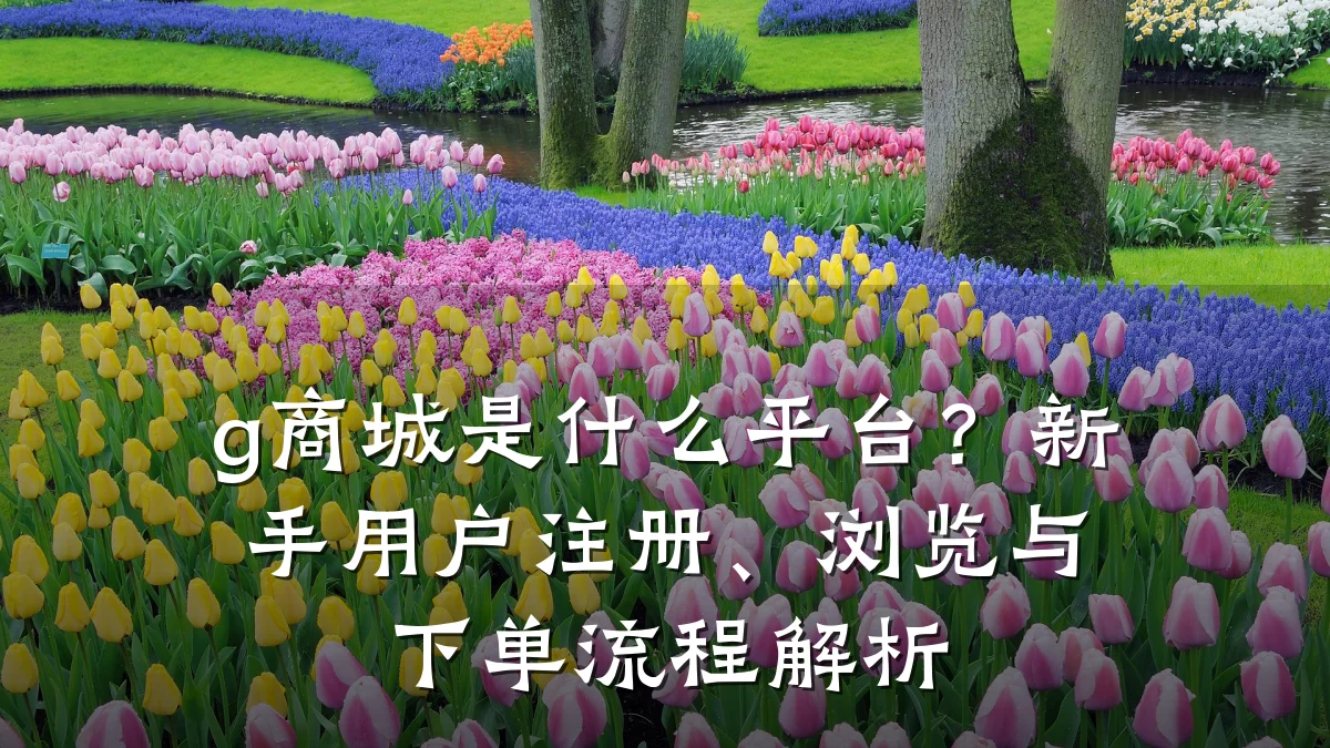 g商城是什么平台?新手用户注册、浏览与下单流程解析