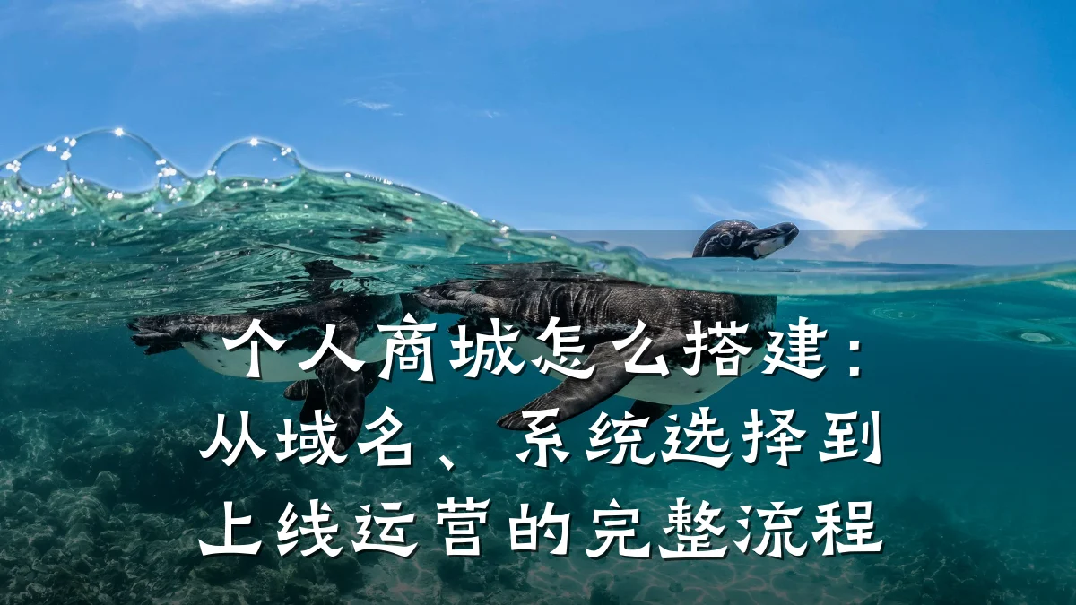 个人商城怎么搭建:从域名、系统选择到上线运营的完整流程