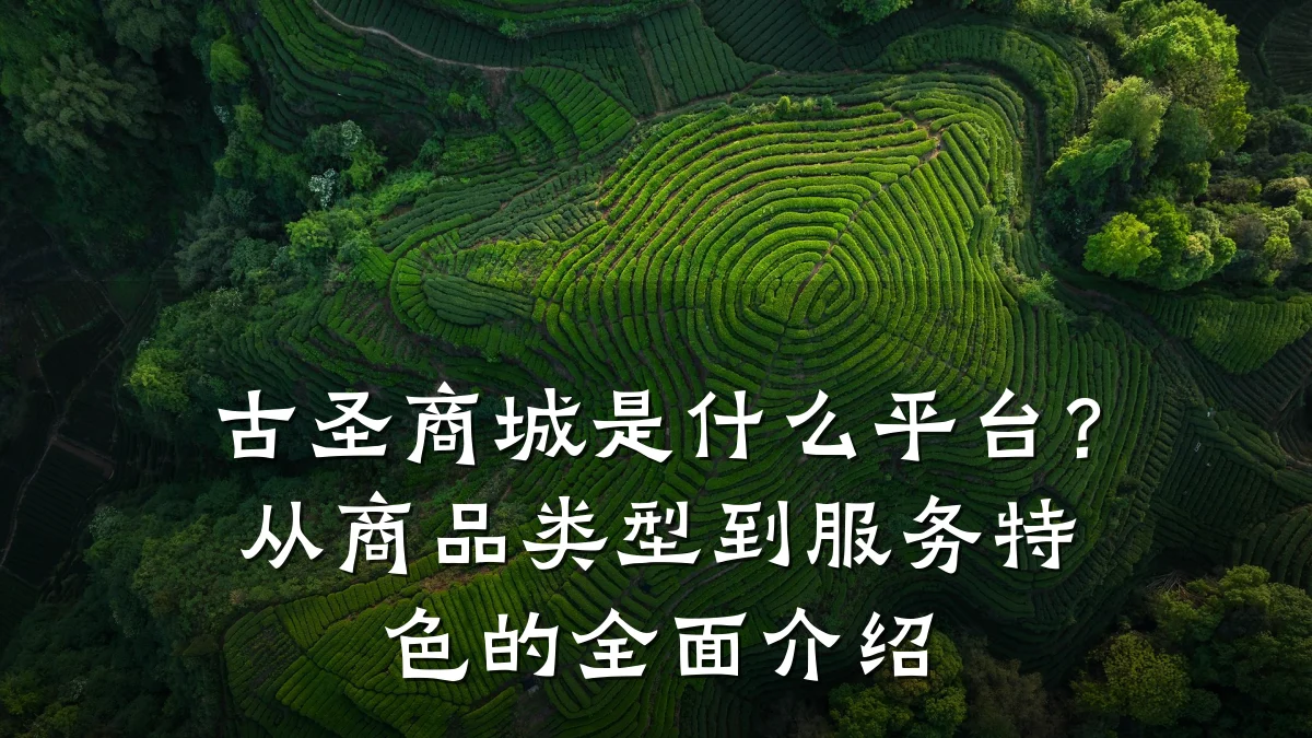古圣商城是什么平台?从商品类型到服务特色的全面介绍