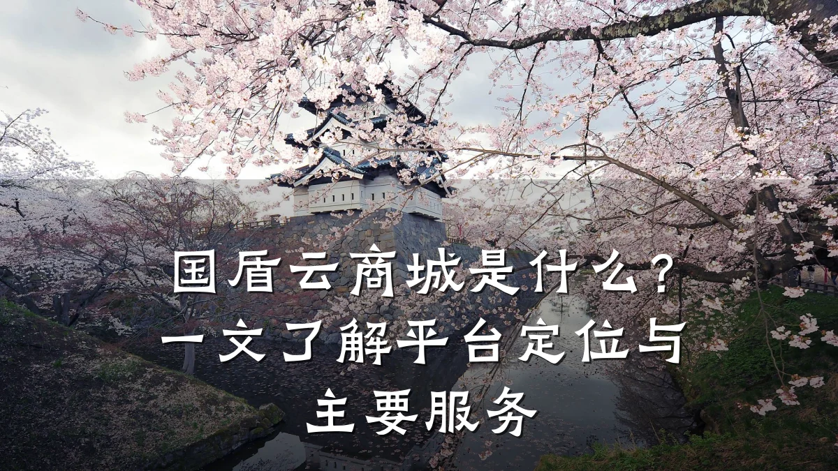 国盾云商城是什么?一文了解平台定位与主要服务