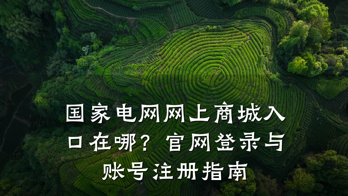 国家电网网上商城入口在哪？官网登录与账号注册指南