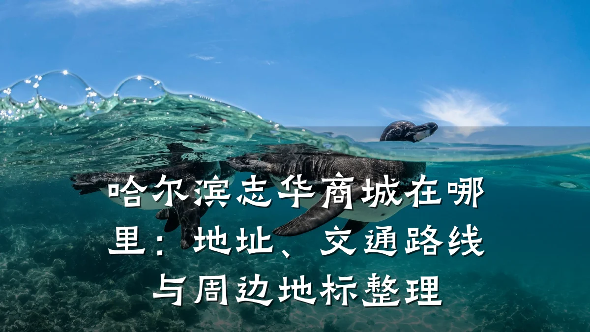 哈尔滨志华商城在哪里:地址、交通路线与周边地标整理