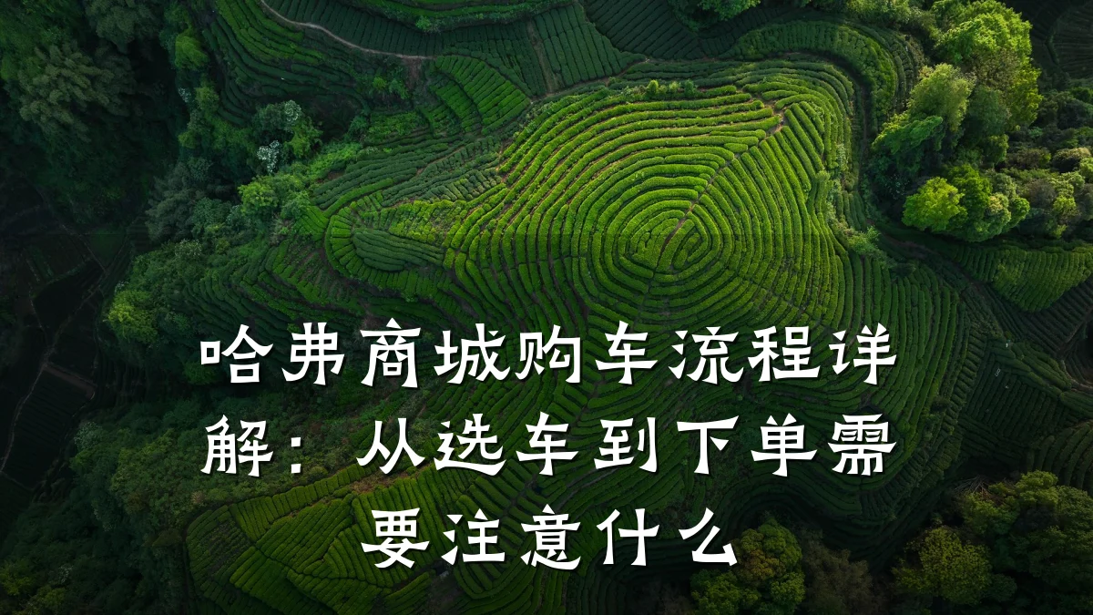哈弗商城购车流程详解:从选车到下单需要注意什么