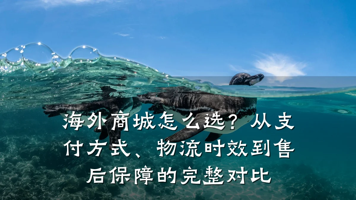 海外商城怎么选?从支付方式、物流时效到售后保障的完整对比