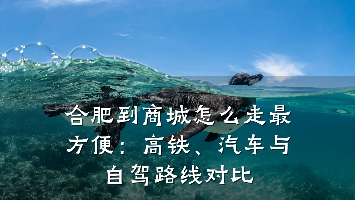 合肥到商城怎么走最方便：高铁、汽车与自驾路线对比