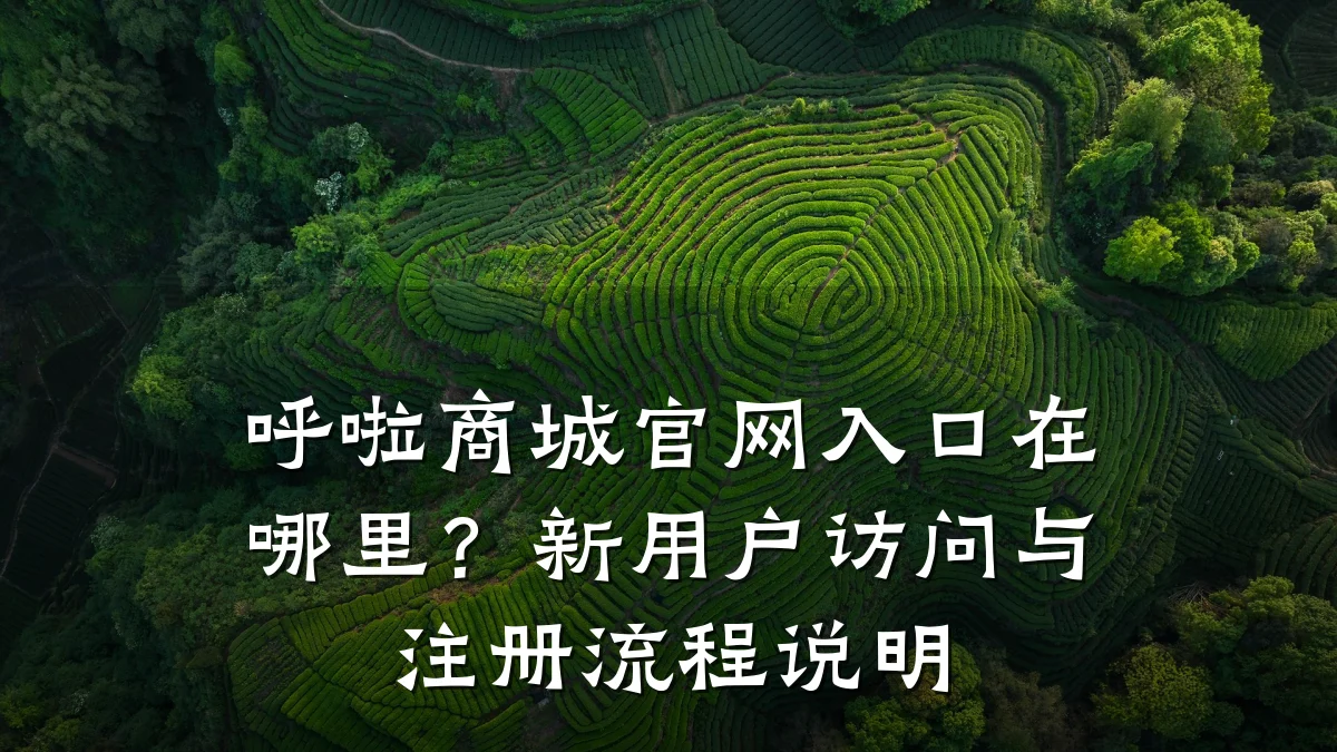 呼啦商城官网入口在哪里?新用户访问与注册流程说明