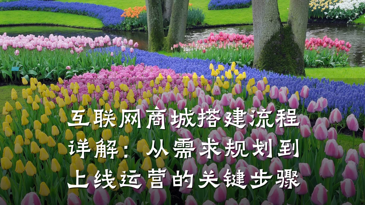 互联网商城搭建流程详解:从需求规划到上线运营的关键步骤